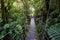 Bridge through Juan Castro Blanco National Park