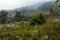 Bridge in the Landscape around Sapa in Vietnam