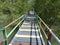 bridge in the mangrove forest to enjoy the beauty and research of mangroves