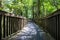 A bridge in the middle of the pluvial rainforest; Oregon State, USA