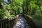 A bridge in the middle of the pluvial rainforest; Oregon State, USA