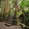 Bridge at Monkey Forest Sanctuary in Ubud, Bali, Indonesia