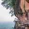 Bridge on mountain