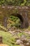 Bridge in the natural park Nordeste