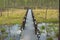 Bridge in nature reserve, Bijotai forest swamp, Meteliai regional park, Lithuania early spring landscape