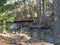 Bridge over babbling brook