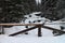 Bridge over brook in Dolina ZelenÃ©ho plesa in High Tatras