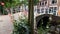 Bridge over the canal, Delft, Netherlands