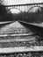 A bridge over Cuyahoga Valley National Park in black & white - OHIO