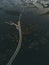 Bridge over flooded country area. Lifting river level.