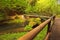 Bridge over flowing Kamenice River in green forest. Hiking trail in Bohemian Switzerland National Park