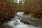 Bridge Over McDowell Creek Falls