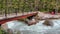 Bridge over The Meeting of Waters Trail in a forest in Glacier National Park during daytim