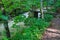 Bridge over a Mountain Stream