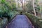 Bridge over the Ouseburn river to the old quarry, in Jesmond Dene, Newcastle upon Tyne, UK in autumn