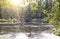 Bridge over the pond overgrown with a duckweed. Catherine Park. Pushkin Tsarskoye Selo. Petersburg