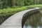 Bridge over river in forest