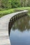 Bridge over river in forest