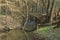 Bridge over river, forest surrounding. Stone bridge over a stream. Moss stones. Autumn forest