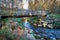 Bridge over the river Kalte Bode at the foot of the Brocken in the Harz National Park