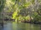 A bridge over Shingle Creek in the Shingle Creek Regional Park, Osceola County, Kissimmee, Florida