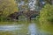 Bridge Over Stow Lake