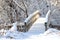 Bridge over a stream following a heavy snow in a wooded setting