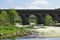 Bridge over the Tozo river full of Ranunculus aquatilis or aquatic buttercup is a species belonging to the Ranunculaceae family