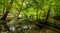 Bridge over troubled waters in the forest. White water rapids flow under the bridge