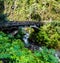 Bridge Over Wailua Nui Stream at Upper Waikani Falls On The Road to Hana