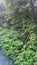 On bridge , panning over to reveal blue river near Rio Celeste