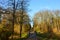 Bridge in the park during last sunny days of fall