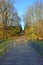 Bridge in the park during last sunny days of fall