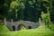 Bridge in Park Schonborn in Voyevodyno, Ukraine