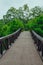 Bridge in the park. Summer landscape. Plants and trees.