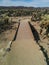 Bridge path through cholla jumping cactus garden in Joshua Tree National Park
