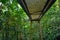 Bridge path in Daintree National Park Queensland, Australia