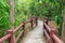 Bridge pathway in forest