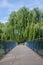 Bridge pathway with trees overhang