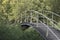 A bridge for pedestrians over a small creek at the forest edge