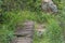 Bridge and pink river lilies on trail to Policemans Helmet