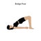 Bridge pose yoga workout. Healthy lifestyle vector illustration