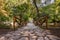 A bridge with railings made of wooden logs, planks and access to them on a stone road