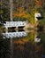 Bridge Reflections