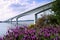 Bridge on the river guadiana