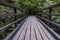 Bridge river Kamenice National Park Bohemia Switzerland