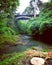 Bridge and river, Ubud