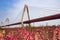 The bridge with sakura flowers