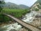 BRIDGE SAPA NORTHERN VIETNAM