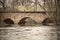 Bridge in Sonning Village